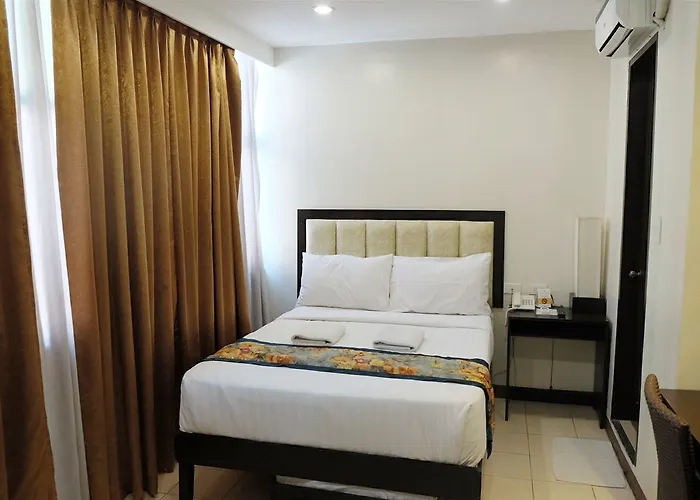 Verbena Capitol 3*